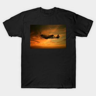 Spitfire Glory T-Shirt